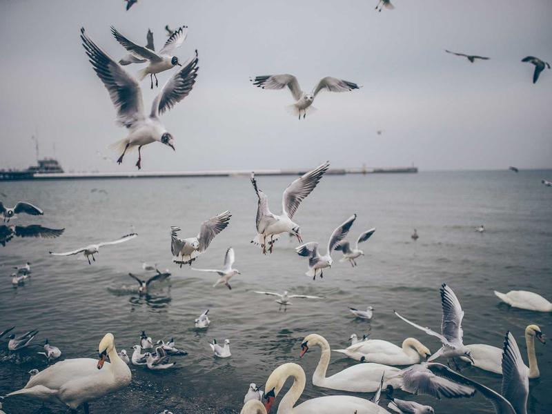 sudoku number pad screenshot 3