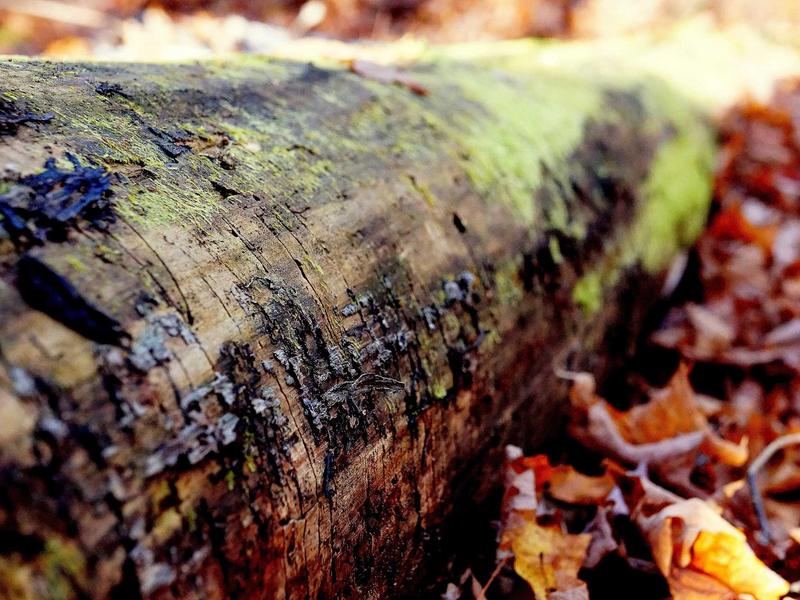 sudoku number pad screenshot 4